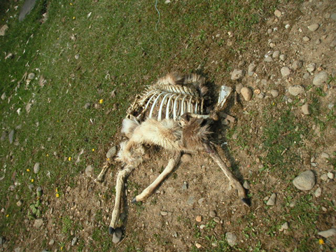 01-12.JPG