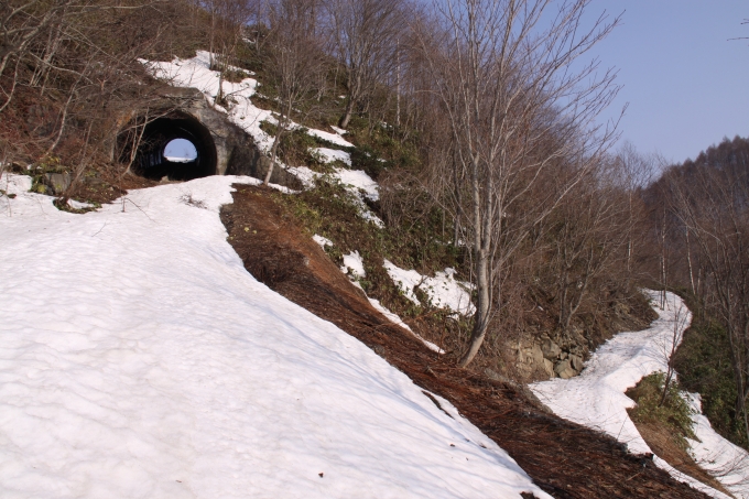 06.JPG
