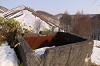 18_thumb.jpg