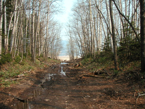 01-01.JPG
