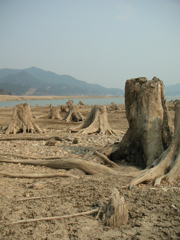 01-03.JPG