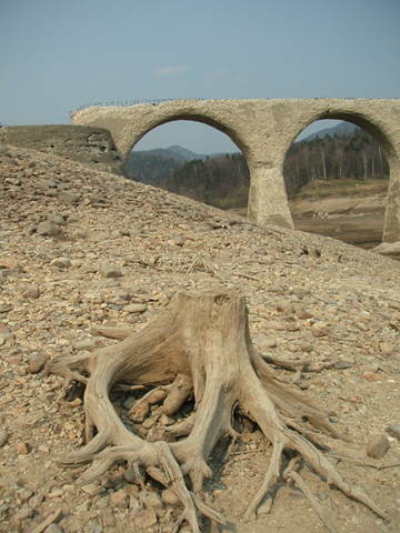 01-04.JPG