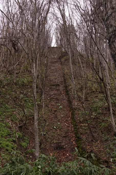 11.JPG