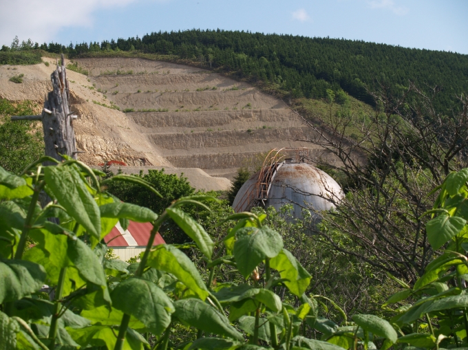 05.JPG