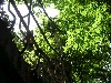 01-05_thumb.jpg