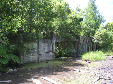 01-08.JPG