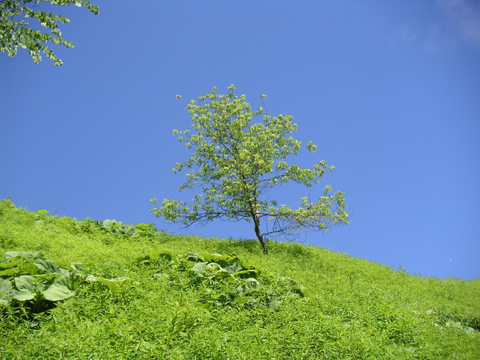 01-09.JPG