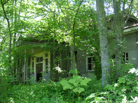 01-10.JPG