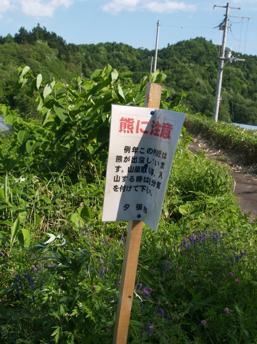 05.JPG