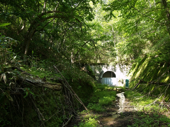08.JPG