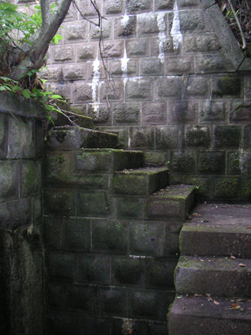 01-11.JPG