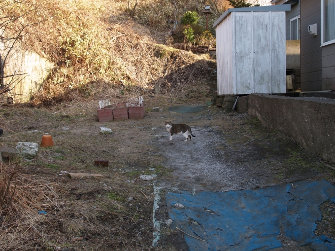 05.JPG