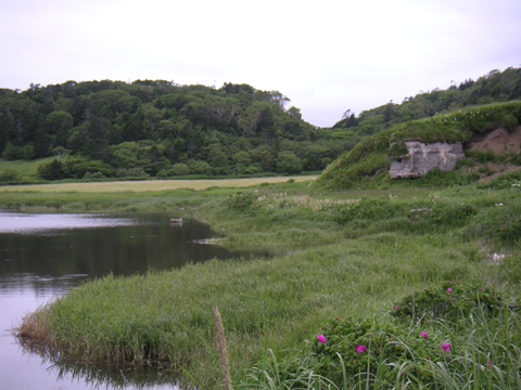 01-01.JPG