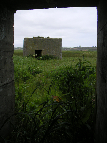 02-03.JPG
