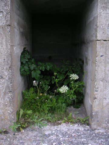 03-04.JPG