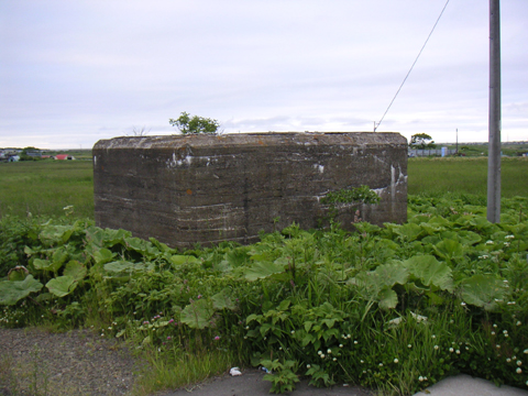 04-01.JPG