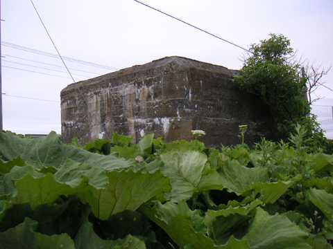 04-02.JPG