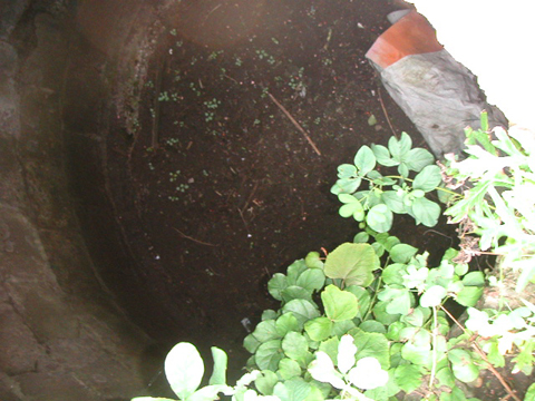 01-03.JPG