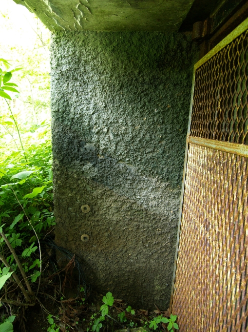 06.JPG