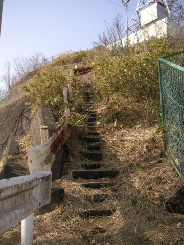 02.JPG