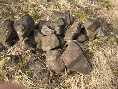 06.JPG
