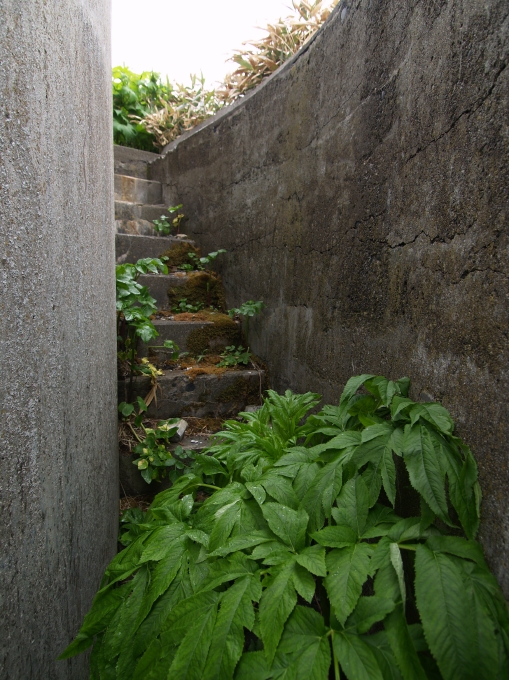 05.JPG