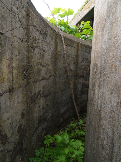06.JPG