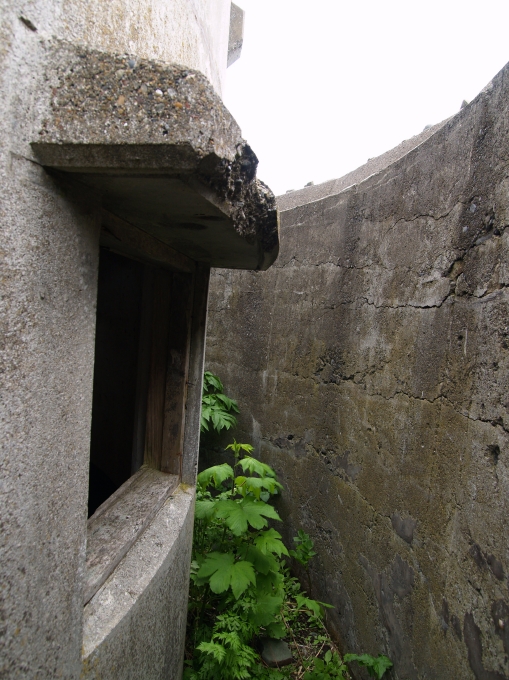 07.JPG
