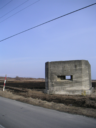 y-m-to-tika.jpg