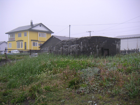02-01.JPG