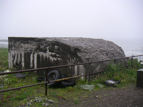 02-02.JPG
