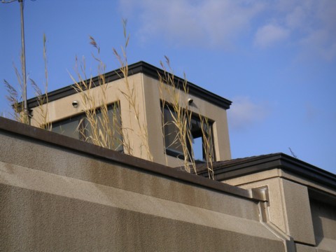 01-07.JPG