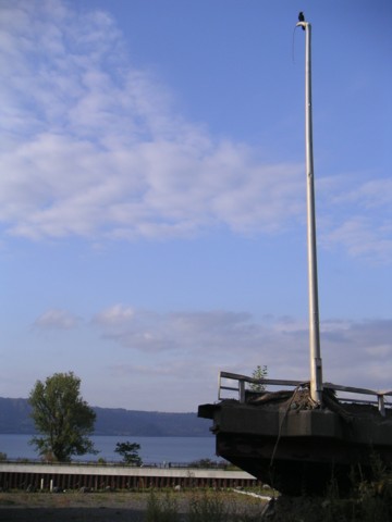 01-12.JPG