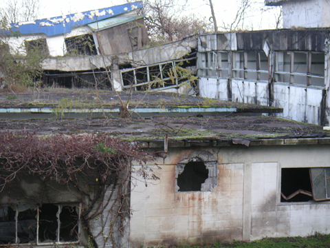 01-06.JPG