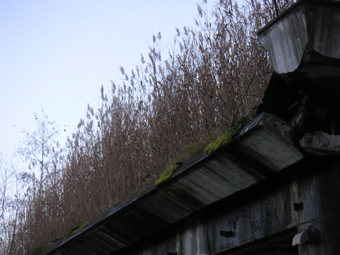 01-08.JPG
