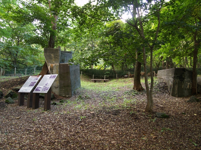 07.JPG