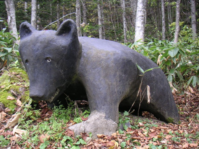 05.JPG
